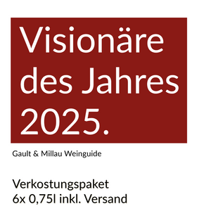 Verkostungspaket - "Visionäre des Jahres 2025"